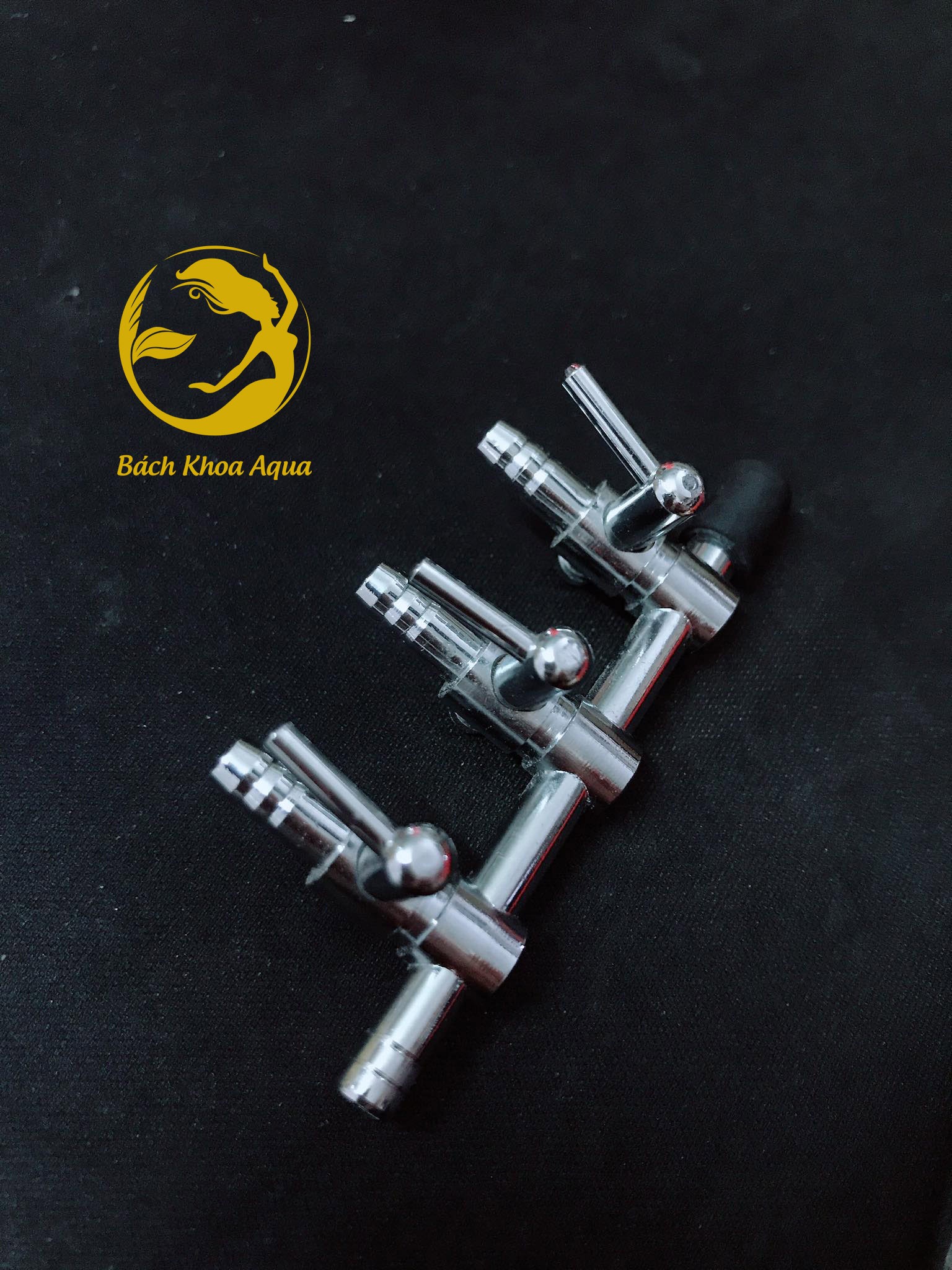 Chia sủi Inox - Nhỏ
